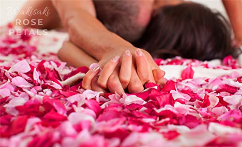 Pétalos de rosa artificiales falsos de WAKISAKI (separados, desodorizados) para una noche romántica, boda, evento, fiesta, decoración, a granel (1000 unidades, rojo oscuro)