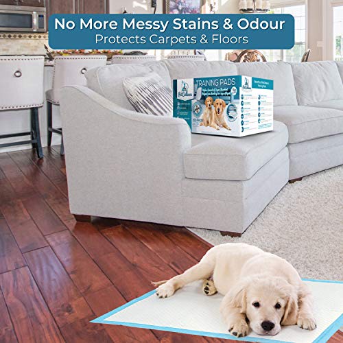 PetCellence Empapadores para Perros - Paquete de 100 Almohadillas Toallitas de Entrenamiento para Mascotas, Alfombrilla para Comedero y Bandeja de Adiestramiento para Cachorros - Grande 60 cm x 60 cm
