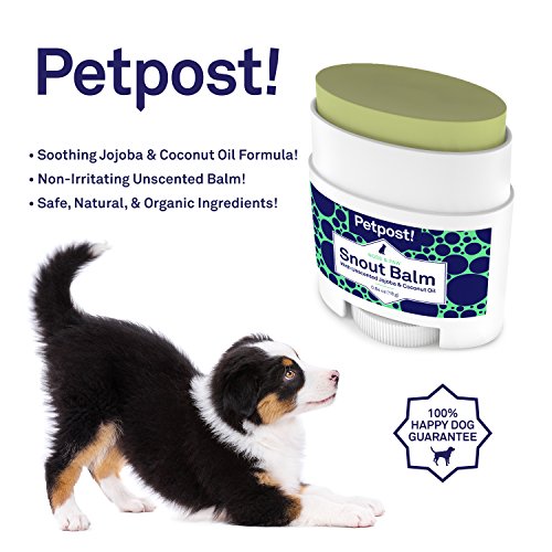 Petpost | Bálsamo para Hocicos de Perro - Bálsamo Nutritivo y Aliviador de Hocicos Que Cura Las Narices Secas de los Perros con Ingredientes Hidratantes - Aceite de Coco Orgánico y Aceite de Jojoba