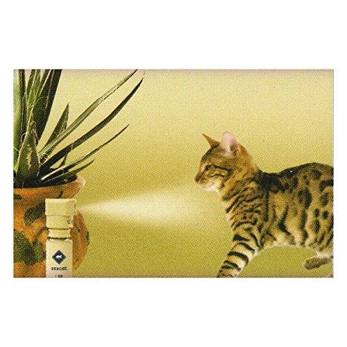 Petsafe Ahuyentador, asustador de gatos y pequeños animales domésticos, corrector de conducta automático