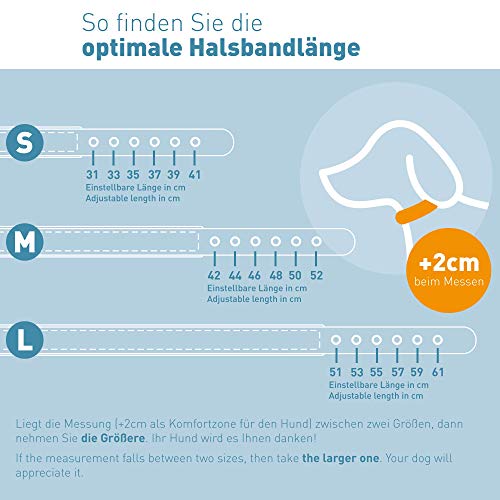 PetTec Collar de Perro Cómodo y Duradero, Fabricado con Trioflex lo Que lo Hace Fuerte; para Perros Grandes o Pequeños, Ajustable y con Relleno Impermeable (Rojo)