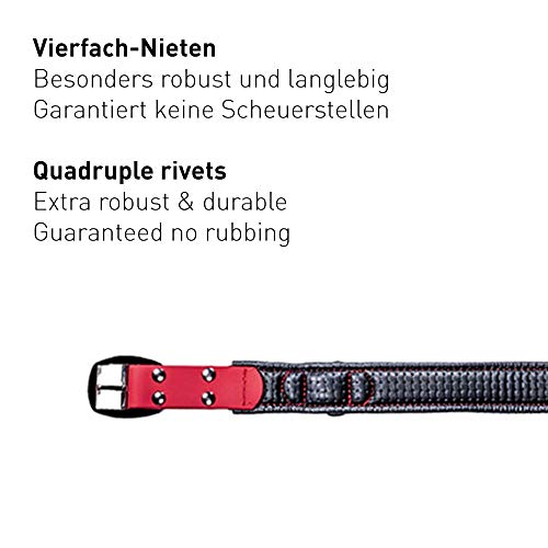 PetTec Collar de Perro Cómodo y Duradero, Fabricado con Trioflex lo Que lo Hace Fuerte; para Perros Grandes o Pequeños, Ajustable y con Relleno Impermeable (Rojo)
