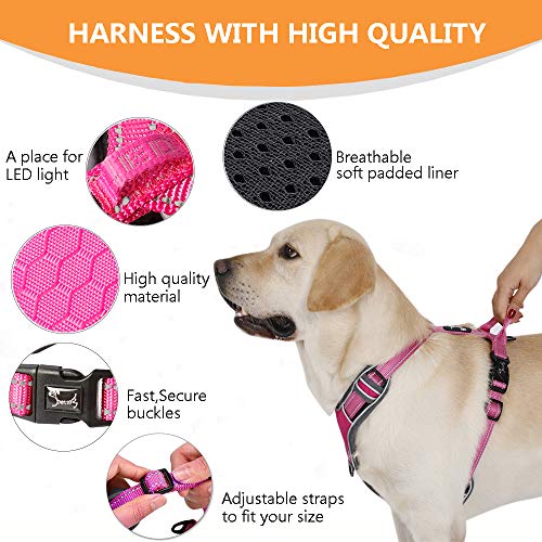 PETTOM arnes de Perro (L, Rosa)