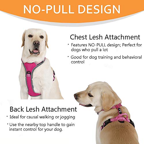 PETTOM arnes de Perro (L, Rosa)