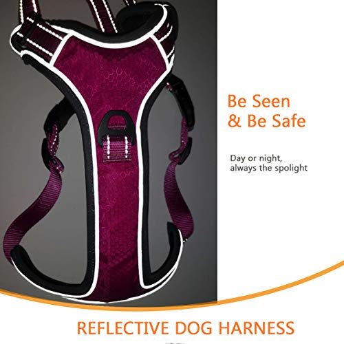 PETTOM arnes de Perro (L, Rosa)