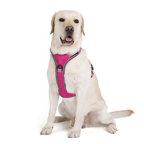 PETTOM arnes de Perro (L, Rosa)