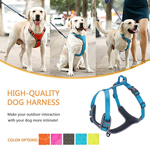 PETTOM arnes de Perro (L, Rosa)