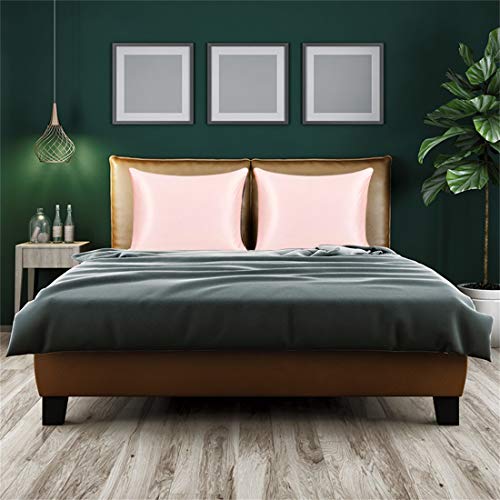 PICCOCASA Seda Funda Almohada con Ambos Lados 25 Mamis Pura Seda, Transpirable Cuidado para Piel y Pelo,1 Pieza Seda Funda Almohada con Escondida Cremallera Rosado Estándar