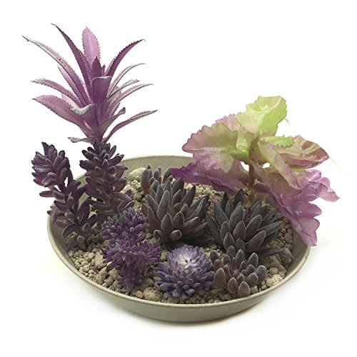 PietyDeko Suculentas Falsas, 10pcs Púrpura Grandes suculentas Artificiales y Ornamentos de Plantas de Cactus para la decoración de la Pared de Plantas Materiales de Bricolaje