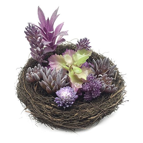 PietyDeko Suculentas Falsas, 10pcs Púrpura Grandes suculentas Artificiales y Ornamentos de Plantas de Cactus para la decoración de la Pared de Plantas Materiales de Bricolaje
