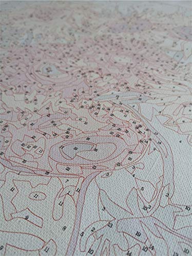 Pintar Por Números Para Adultos Cabello Largo Y Rizado Chica Y Pato Decoración Casera Linda Diy-Framed 40x50 Cm