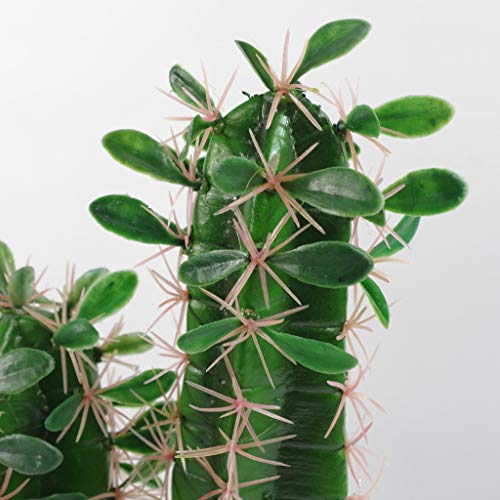 Planta Artificial de Cactus con Punta de 60 cm.