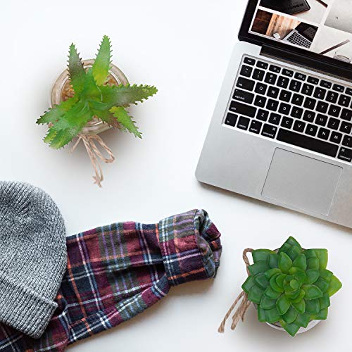 Plantas Artificiales Mini Macetas (Pack de 4) - Planta Artificial Decorativa en Jarrón Transparente – Plantas Verde Cactus para Sala de Estar, Librero, Escritorio de Oficina, Decoración Interiores