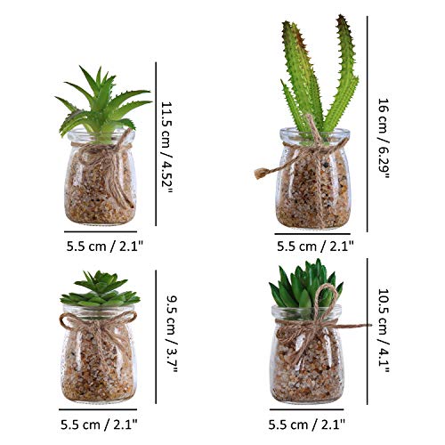 Plantas Artificiales Mini Macetas (Pack de 4) - Planta Artificial Decorativa en Jarrón Transparente – Plantas Verde Cactus para Sala de Estar, Librero, Escritorio de Oficina, Decoración Interiores