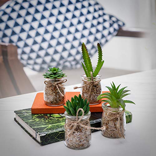 Plantas Artificiales Mini Macetas (Pack de 4) - Planta Artificial Decorativa en Jarrón Transparente – Plantas Verde Cactus para Sala de Estar, Librero, Escritorio de Oficina, Decoración Interiores