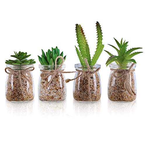 Plantas Artificiales Mini Macetas (Pack de 4) - Planta Artificial Decorativa en Jarrón Transparente – Plantas Verde Cactus para Sala de Estar, Librero, Escritorio de Oficina, Decoración Interiores