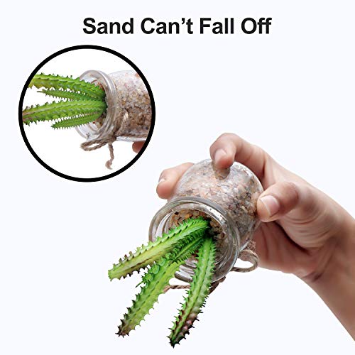 Plantas Artificiales Mini Macetas (Pack de 4) - Planta Artificial Decorativa en Jarrón Transparente – Plantas Verde Cactus para Sala de Estar, Librero, Escritorio de Oficina, Decoración Interiores