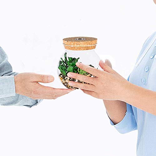 Plantas Suculentas Artificiales en Macetas,Aromaterapia Diseño de Corcho con LED,Mini Planta Falsa Cactus Falso Bonsái,Terrario,Interior Decor para Dormitorio,Estudio y Sala de Estar,Luz Blanca