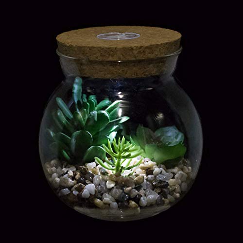 Plantas Suculentas Artificiales en Macetas,Aromaterapia Diseño de Corcho con LED,Mini Planta Falsa Cactus Falso Bonsái,Terrario,Interior Decor para Dormitorio,Estudio y Sala de Estar,Luz Blanca