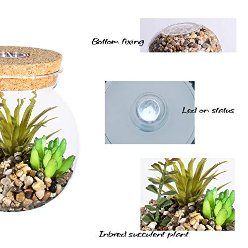 Plantas Suculentas Artificiales en Vaso Macetas con LED Diseño de Aromaterapia Corcho,Mini Plantas Falsas Faux Cactus Bonsai en Terrario Maceta Decoración para Dormitorio y Sala de Estar,Luz Blanca