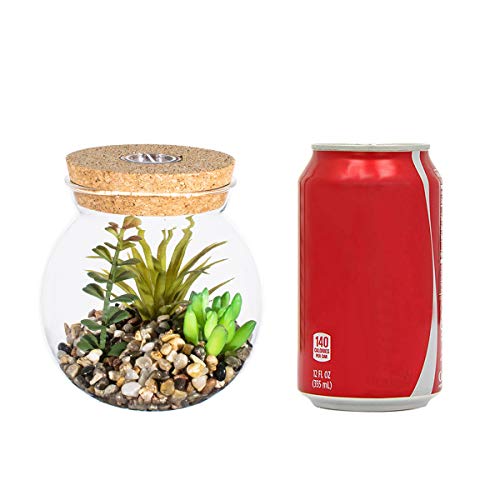Plantas Suculentas Artificiales en Vaso Macetas con LED Diseño de Aromaterapia Corcho,Mini Plantas Falsas Faux Cactus Bonsai en Terrario Maceta Decoración para Dormitorio y Sala de Estar,Luz Blanca