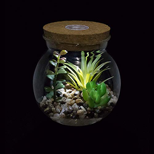 Plantas Suculentas Artificiales en Vaso Macetas con LED Diseño de Aromaterapia Corcho,Mini Plantas Falsas Faux Cactus Bonsai en Terrario Maceta Decoración para Dormitorio y Sala de Estar,Luz Blanca