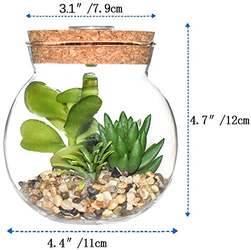 Plantas Suculentas Artificiales en Vaso Macetas con LED Diseño de Aromaterapia Corcho,Mini Plantas Falsas Faux Cactus Bonsai en Terrario Maceta Decoración para Dormitorio y Sala de Estar,Luz Blanca