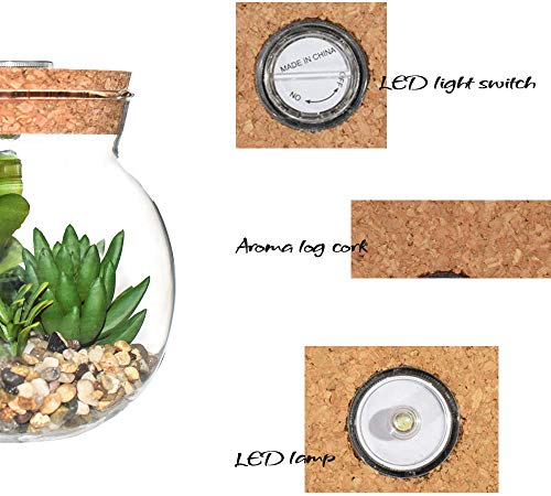 Plantas Suculentas Artificiales en Vaso Macetas con LED Diseño de Aromaterapia Corcho,Mini Plantas Falsas Faux Cactus Bonsai en Terrario Maceta Decoración para Dormitorio y Sala de Estar,Luz Blanca