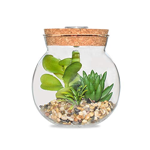 Plantas Suculentas Artificiales en Vaso Macetas con LED Diseño de Aromaterapia Corcho,Mini Plantas Falsas Faux Cactus Bonsai en Terrario Maceta Decoración para Dormitorio y Sala de Estar,Luz Blanca