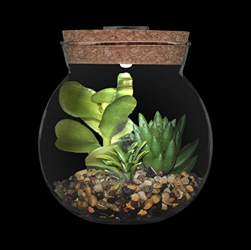 Plantas Suculentas Artificiales en Vaso Macetas con LED Diseño de Aromaterapia Corcho,Mini Plantas Falsas Faux Cactus Bonsai en Terrario Maceta Decoración para Dormitorio y Sala de Estar,Luz Blanca