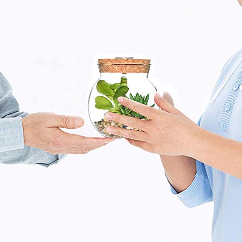 Plantas Suculentas Artificiales en Vaso Macetas con LED Diseño de Aromaterapia Corcho,Mini Plantas Falsas Faux Cactus Bonsai en Terrario Maceta Decoración para Dormitorio y Sala de Estar,Luz Blanca