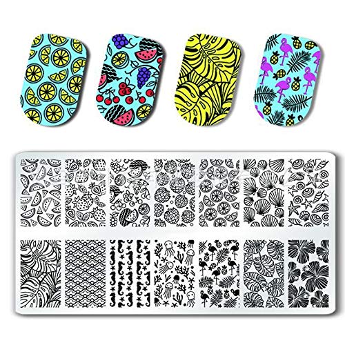 Plantilla de Estampado de Uñas Cuadrado de Arte de Uñas Placa de Estampación Decoración Manicura Verano Fruta Hojas Tema