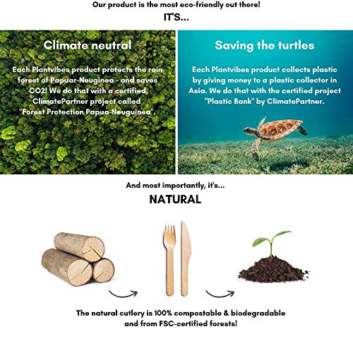 Plantvibes® Cubiertos Desechables de Madera certificada FSC, Cuberteria desechable compostable