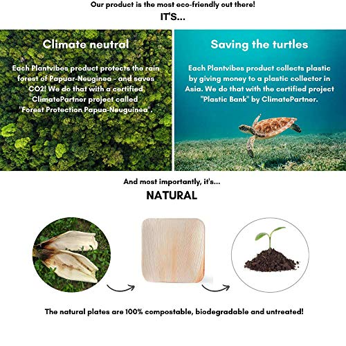 Plantvibes Platos de Hoja de Palma Naturales, 100% compostables & CO2-neutral - 25 Piezas de 20 x 20 cm - Platos de Madera, Vajillas de Madera