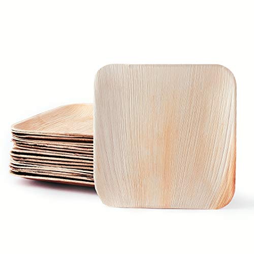 Plantvibes Platos de Hoja de Palma Naturales, 100% compostables & CO2-neutral - 25 Piezas de 20 x 20 cm - Platos de Madera, Vajillas de Madera