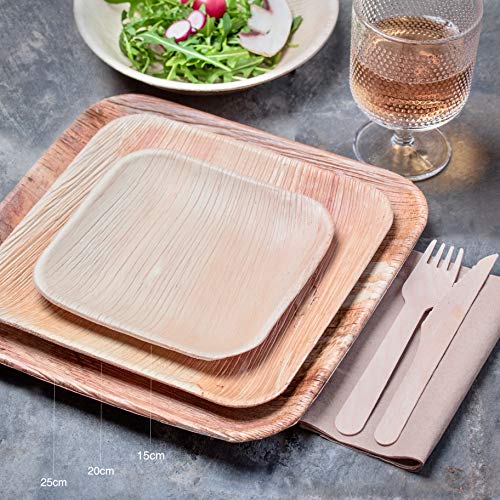 Plantvibes Platos de Hoja de Palma Naturales, 100% compostables & CO2-neutral - 25 Piezas de 20 x 20 cm - Platos de Madera, Vajillas de Madera