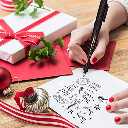 Pluma de Caligrafía, Lápiz para Caligrafía, 4 Tamaños Pincel Negro, Bolígrafos de Tinta de Caligrafía, para Principiantes Escribiendo, Cómica, Firma, Diseño, Caligrafía y Dibujos(6 Piezas)