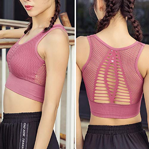 Pollara Sujetador deportivo sin costuras, con efecto pushup, sujeción fuerte, sujetador de yoga, crop, entrenamiento, fitness, activewear Racerback, camiseta acolchada Rosa. XL