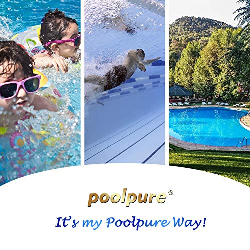 POOLPURE Filtro de SPA de 2 Piezas, reemplazo del Filtro de hidromasaje para Unicel 6CH-940, Pleatco PWW50P3, PWW50-P3, Filbur FC-0359, Waterway Plastics 817-0050, 25252, 378902, 03FIL1400