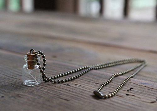 Porque te encuentras con tu collar de diente de león, collar de deseo, collar de terrario, hacer un deseo, collar de buena suerte.