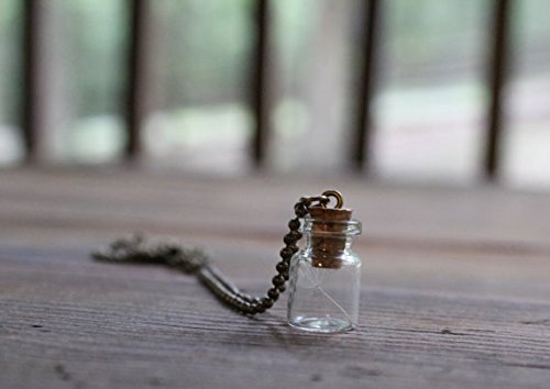 Porque te encuentras con tu collar de diente de león, collar de deseo, collar de terrario, hacer un deseo, collar de buena suerte.