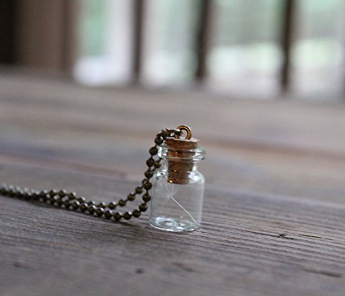 Porque te encuentras con tu collar de diente de león, collar de deseo, collar de terrario, hacer un deseo, collar de buena suerte.