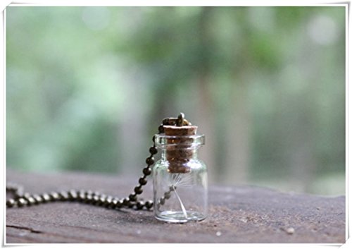 Porque te encuentras con tu collar de diente de león, collar de deseo, collar de terrario, hacer un deseo, collar de buena suerte.