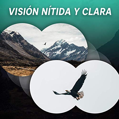 Prismáticos 10x42 Slokey - Binoculares Profesionales y Potentes con Gran Alcance. Ligeros e Impermeables, Prismas BaK4 y FMC. Ideales para Observación de Aves, Caza, Senderismo, Astronomía y Camping.