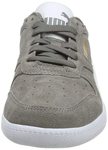 PUMA ICRA Trainer SD, Zapatillas para Hombre, Gris (Steel Gray White), 42 EU