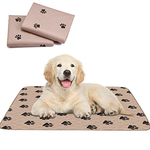 PUPOUSE Empapadores para Entrenar A Cachorros - 2 PCS Súper Absorción Lavable en la Lavadora Reutilizable Impermeable, Pañales Perro Empapadores de Entrenamiento, 80 X 90 CM, marrón