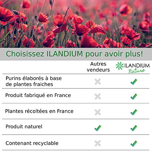 Purín de ortigas 2L (disponible en 5L), producto líquido concentrado Fabricado en Francia, hasta 40L de preparación, un bioestimulante ecológico para hortalizas, flores, vides y árboles frutales
