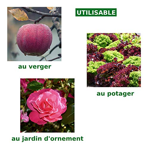 Purín de ortigas 2L (disponible en 5L), producto líquido concentrado Fabricado en Francia, hasta 40L de preparación, un bioestimulante ecológico para hortalizas, flores, vides y árboles frutales