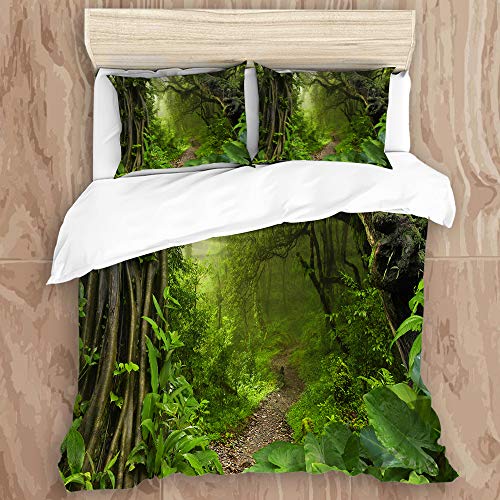QIUTIANXIU Juego de Funda nórdica,Selva Tropical asiática,Juego de Cama Decorativo de 3 Piezas con 2 Fundas de Almohada,Soltero