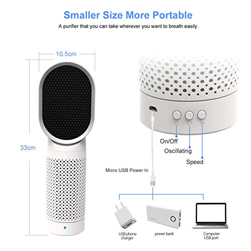 QUEENTY Purificador de Aire para Oficina con Filtro HEPA y Carbón Activado, Purificador de Aire para Hogar con Iones Negativos, Capturar Alergias, Polen, Humo, Olor y Caspas de Mascota